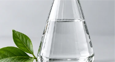 Green chemical flask with leaves