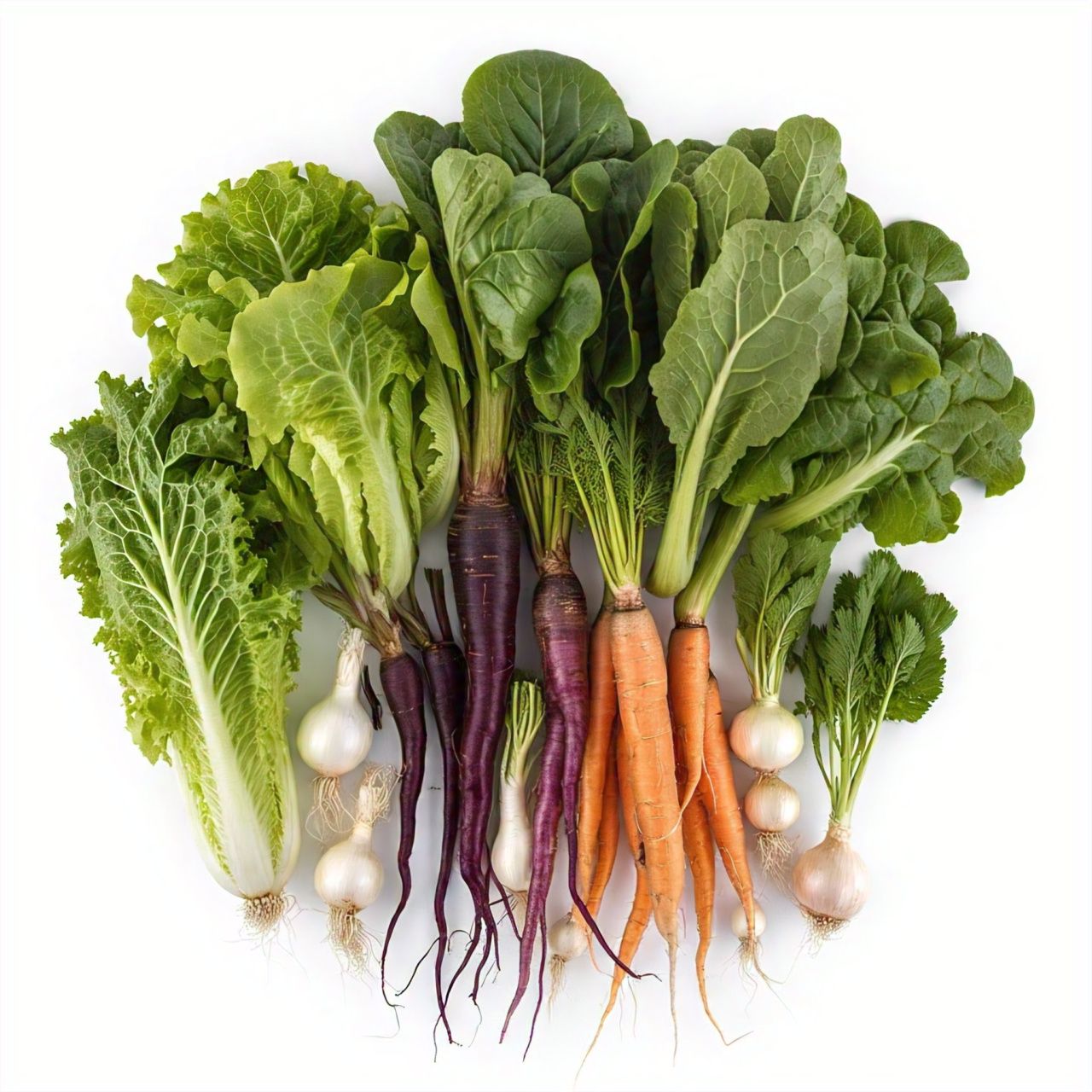 Agriculture