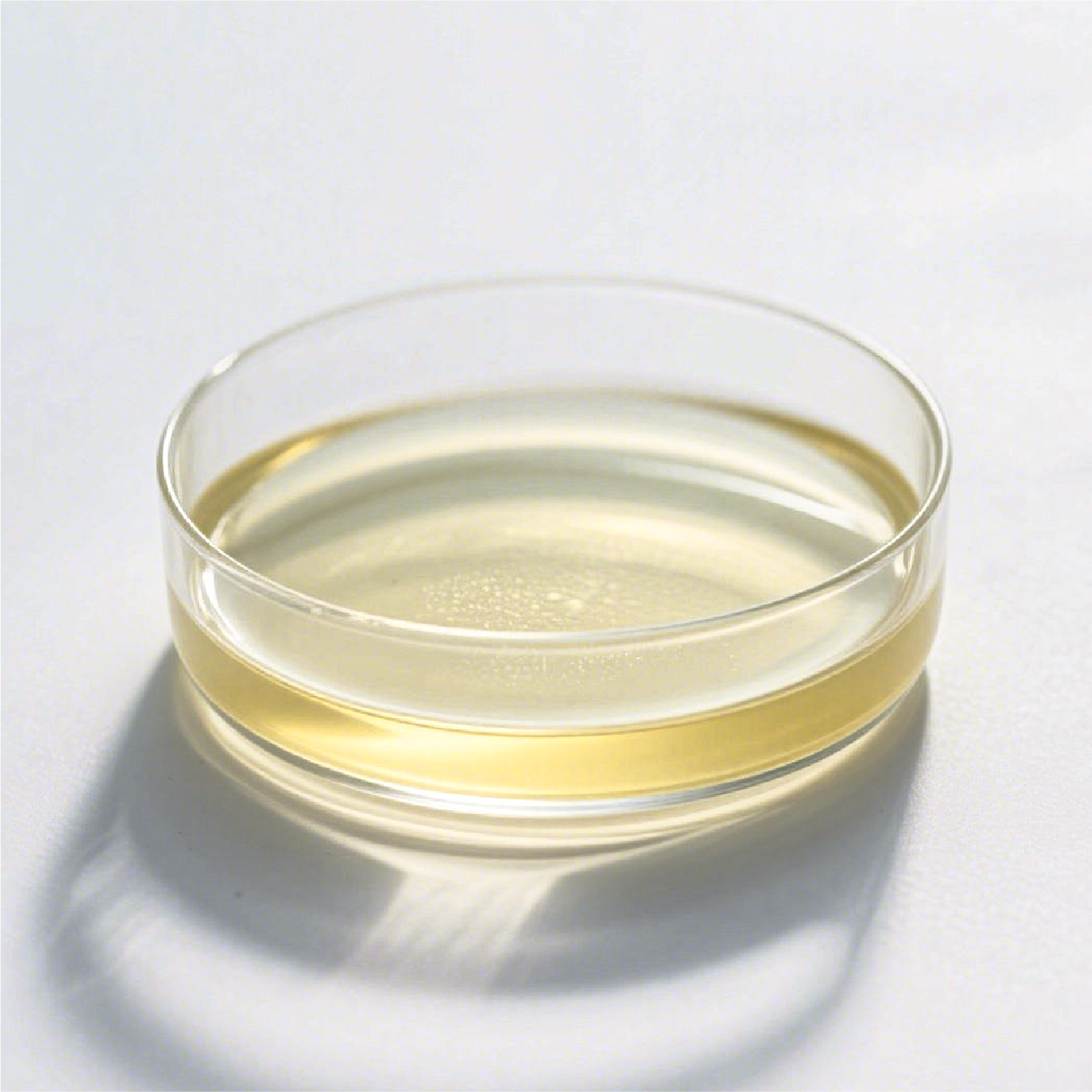 Anchlor 12 (Sodium hypochlorite)